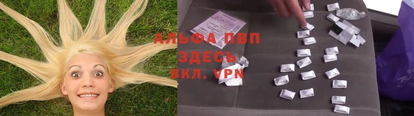ГАЛЛЮЦИНОГЕННЫЕ ГРИБЫ Михайлов