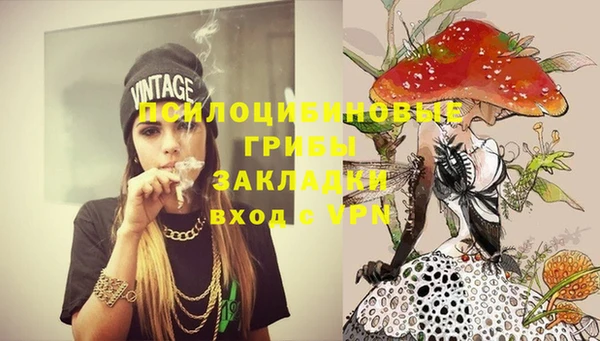 ГАЛЛЮЦИНОГЕННЫЕ ГРИБЫ Михайлов