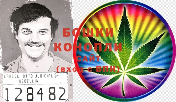 ГАЛЛЮЦИНОГЕННЫЕ ГРИБЫ Михайлов