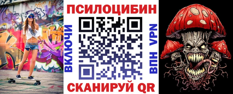 купить наркоту  Катайск  Псилоцибиновые грибы ЛСД 